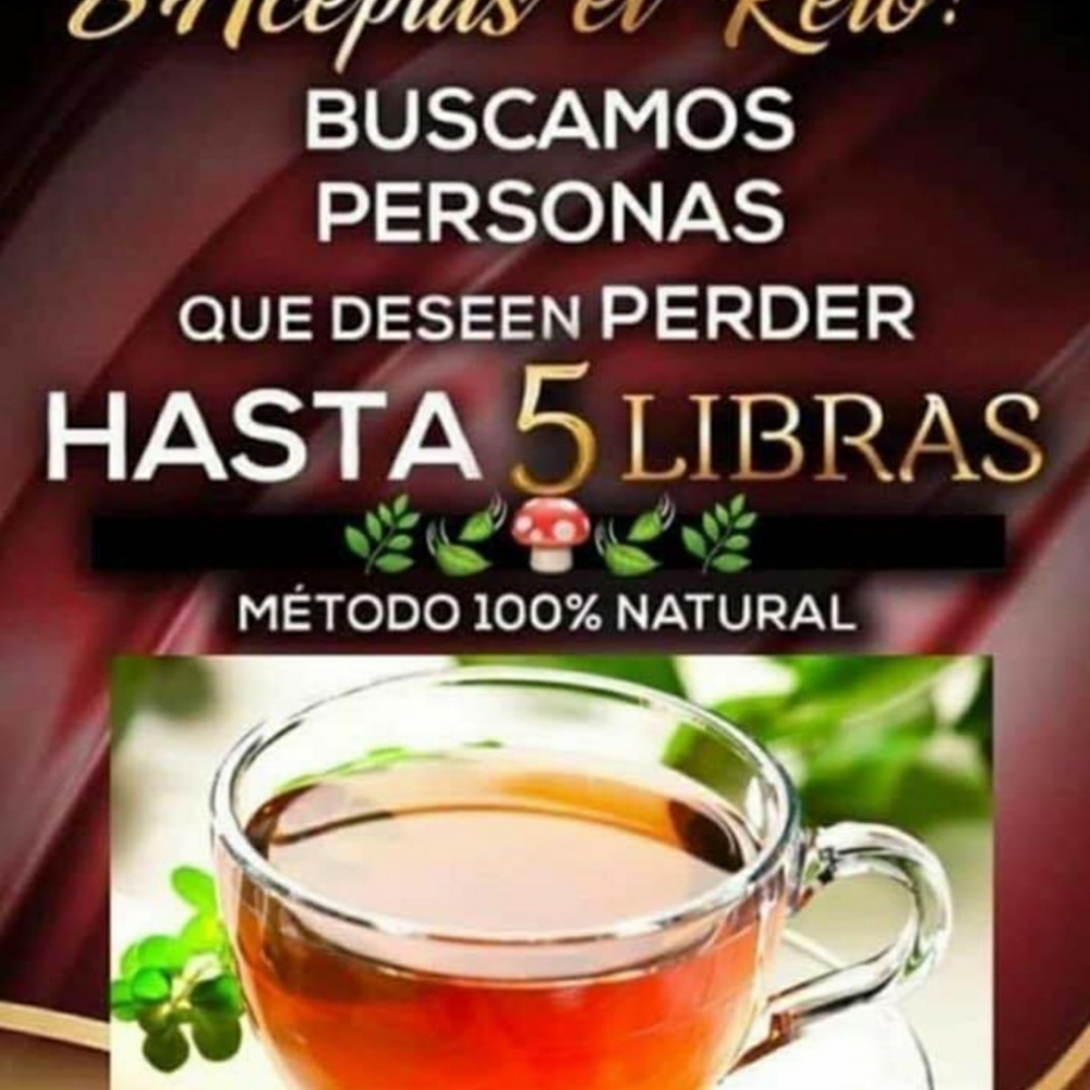 Vida Divina